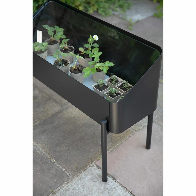 Eva Solo Anzuchtbox Simply Grow, Aluminium, Glas, Kunststoff, Schwarz, 33 x 63 x 80 cm, 741010012