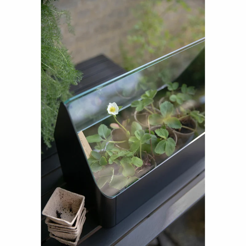 Eva Solo Mini-Gewächshaus Simply Grow, Aluminium, Glas, Kunststoff, Schwarz, 32 x 42 x 20 cm, 741010015