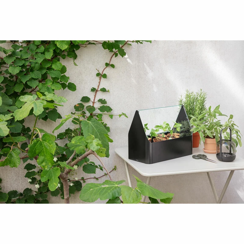 Eva Solo Mini-Gewächshaus Simply Grow, Aluminium, Glas, Kunststoff, Schwarz, 32 x 42 x 20 cm, 741010015