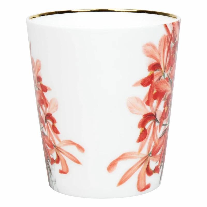 Könitz Becher Laelia superbiens, in Geschenkbox, Bone China, Rot, 600 ml, 11 5 255 2926