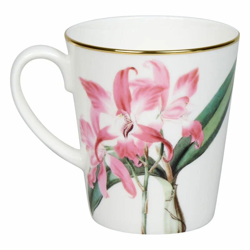 Könitz Becher Laelia autumnalis, in Geschenkbox, Bone China, Pink, 600 ml, 11 5 255 2927