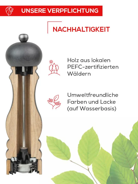 Salzmühle 30cm schwarz Paris