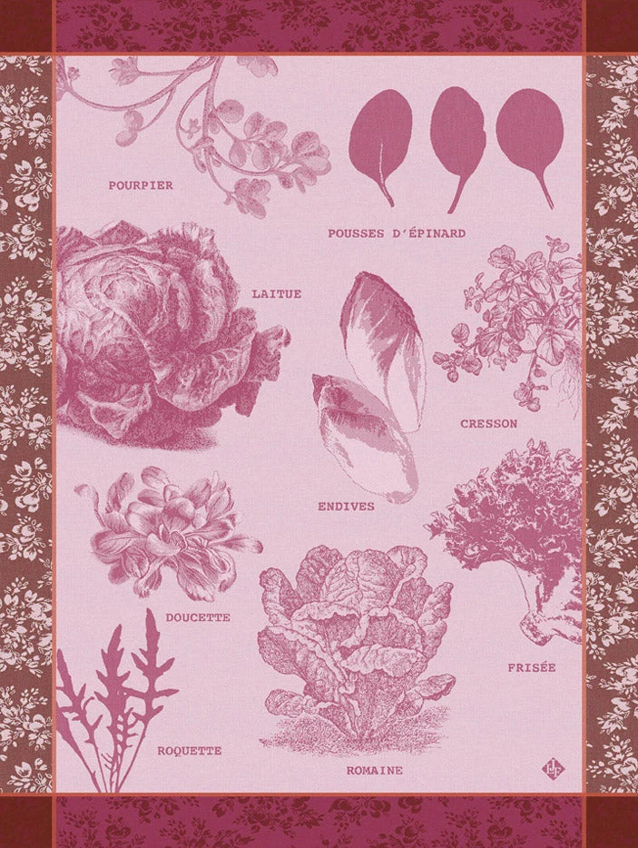 Geschirrtuch – Salades Illustrées – Chicorée