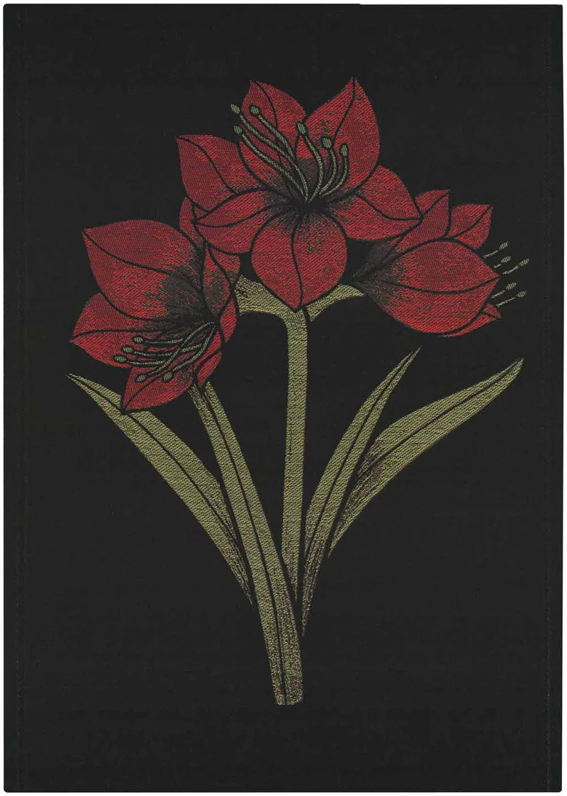 Kapamaryllis Handtuch – 35x50cm