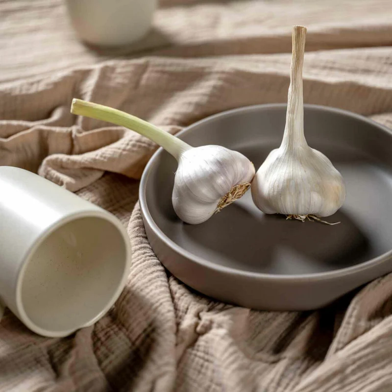 Leonardo Keramikteller Tief ROMA, Teller, Speiseteller, Pastateller, Keramik, Taupe, 20 cm, 027923