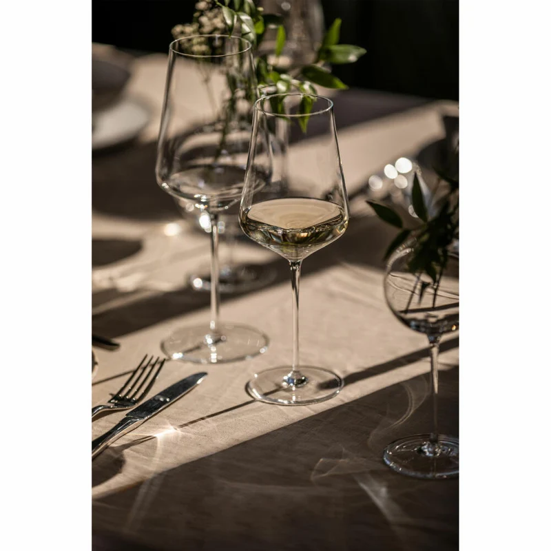 Zwiesel Glas Hybrid Allround Weinglas Duo 2er Set mit Moussierpunkt, Kristallglas, Transparent, 548 ml, 123472