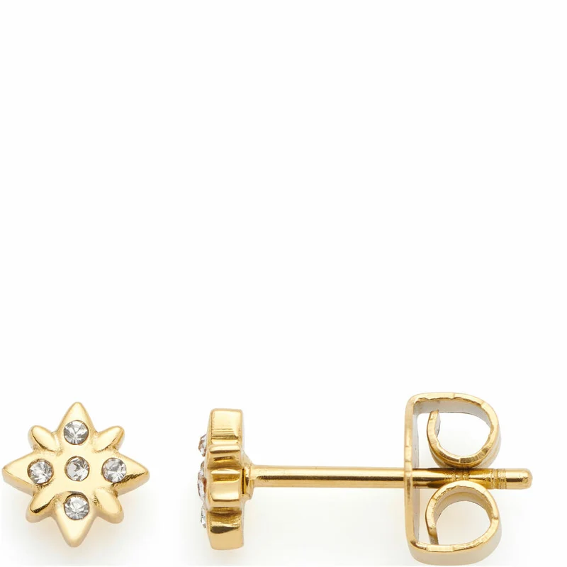 Leonardo Jewels Ohrstecker gold Campagnola CIAO, Ohrring, Ohrschmuck, Schmuck, Edelstahl IP gold, Glassteine, 024464