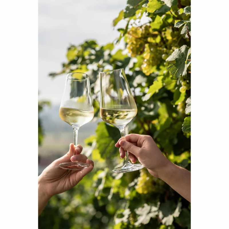 Zwiesel Glas Weißweinglas Bouquet 2er Set, Kristallglas, Transparent, 370 ml, 123739