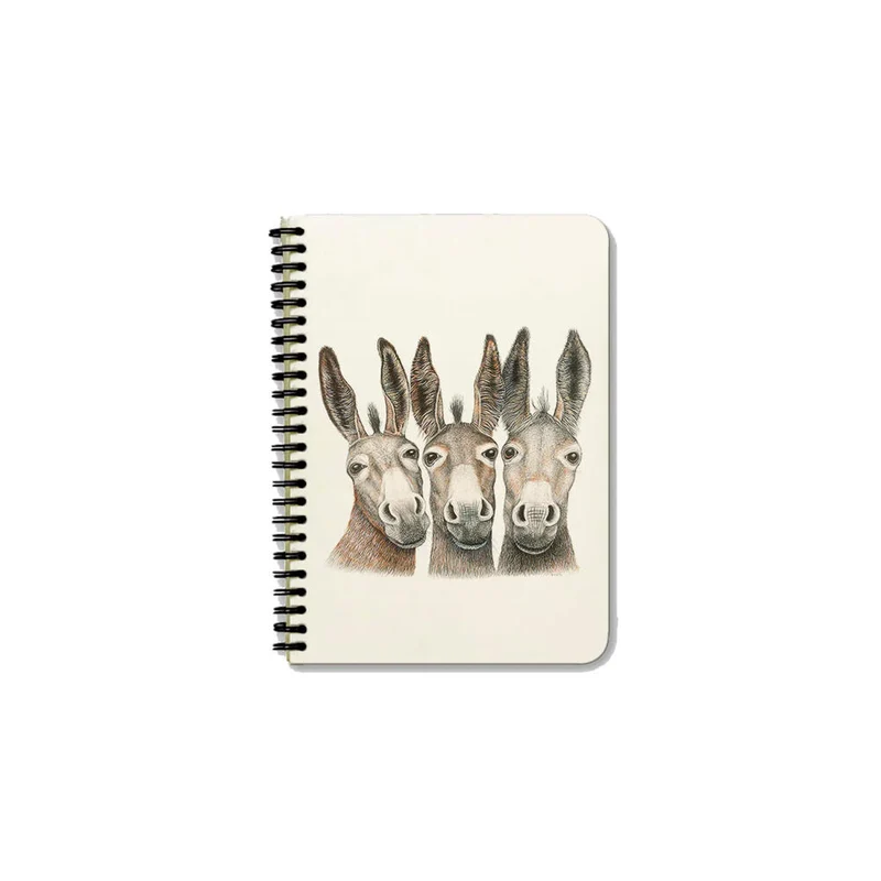 Charlotte Nicolin Notizblock A5 Amigos, Hardcover Spiral-Notebook, 50 linierte Seiten, 100 g Papier, SNPA59115
