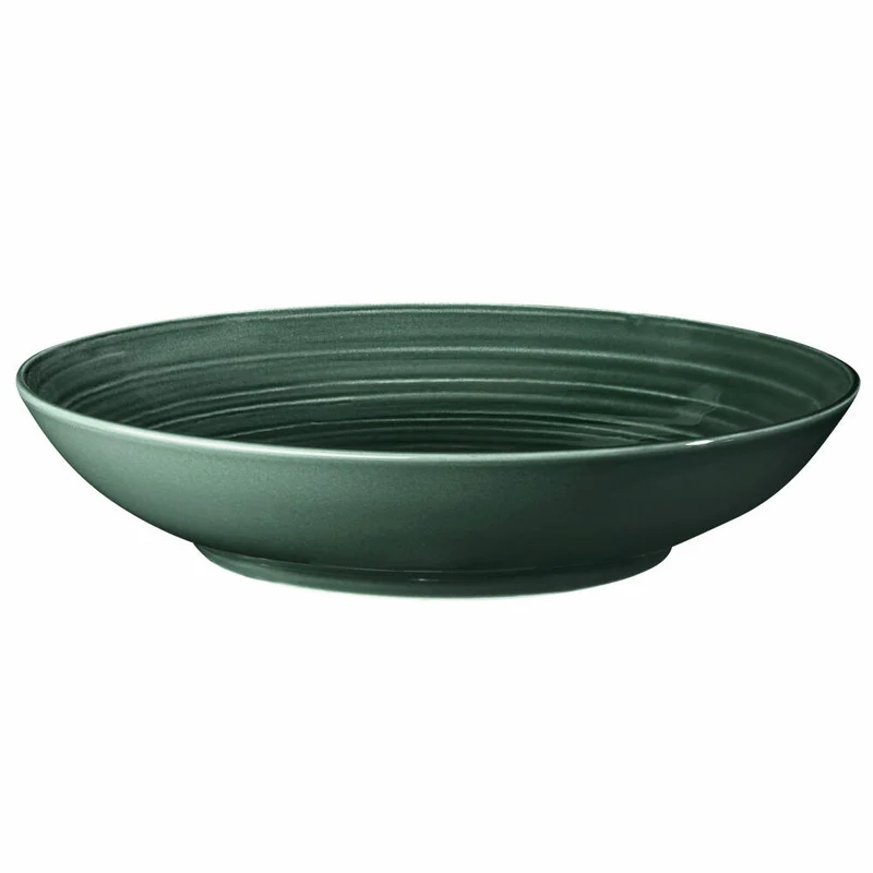 Seltmann Weiden Terra Coupteller Tief, Pastateller, Teller, Porzellan, Moosgrün, Ø 26 cm, 001.766888