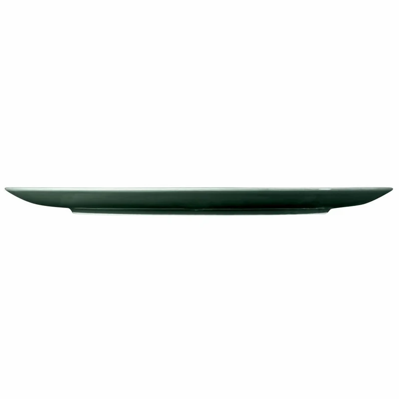 Seltmann Weiden Terra Speiseteller, Teller, Porzellan, Moosgrün, Ø 31.5 cm, 001.766887