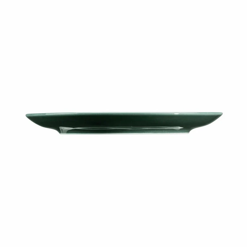Seltmann Weiden Terra Kombi-Untertasse Groß, Unterteller, Porzellan, Moosgrün, Ø 16.1 cm, 001.765013