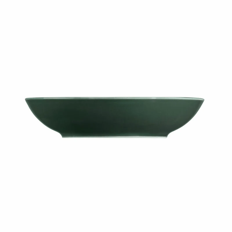 Seltmann Weiden Terra Suppenteller, Teller, Porzellan, Moosgrün, Ø 21.2 cm, 001.765017
