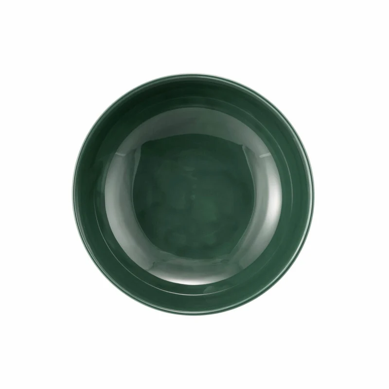 Seltmann Weiden Terra Foodbowl, Schüssel, Schale, Porzellan, Moosgrün, Ø 17.7 cm, 001.765018