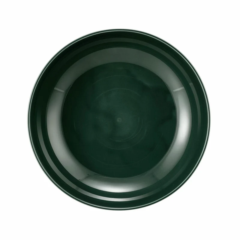 Seltmann Weiden Terra Foodbowl, Schüssel, Schale, Porzellan, Moosgrün, Ø 25.5 cm, 001.765020