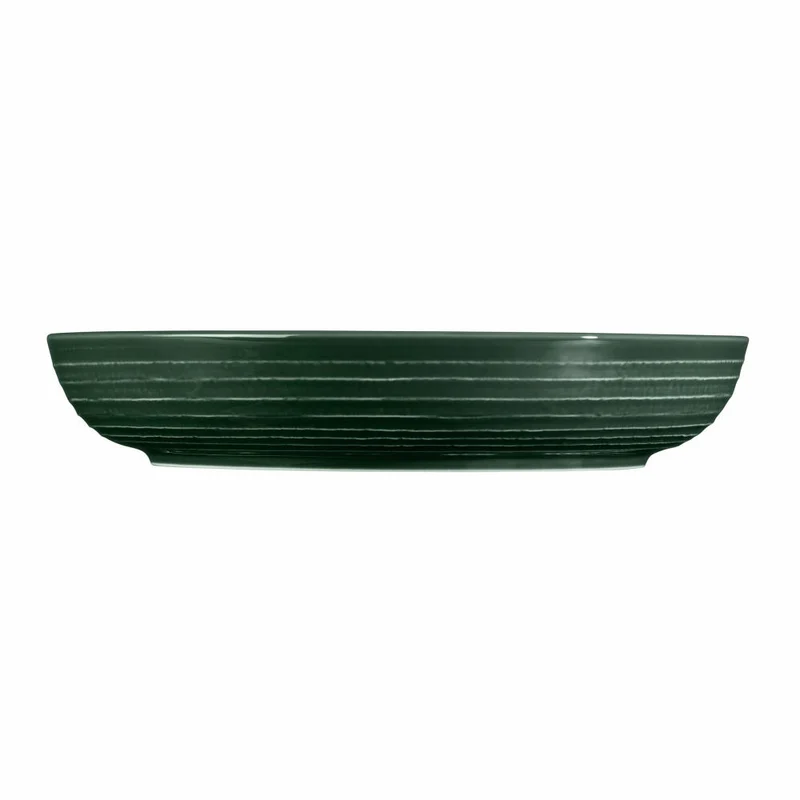 Seltmann Weiden Terra Foodbowl, Schüssel, Schale, Porzellan, Moosgrün, Ø 28.4 cm, 001.765021