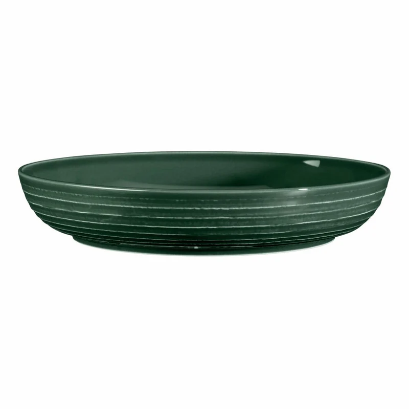 Seltmann Weiden Terra Foodbowl, Schüssel, Schale, Porzellan, Moosgrün, Ø 28.4 cm, 001.765021