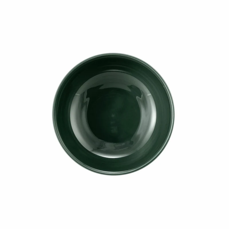 Seltmann Weiden Terra Müslischale, Schale, Schüssel, Porzellan, Moosgrün, Ø 15 cm, 001.765022