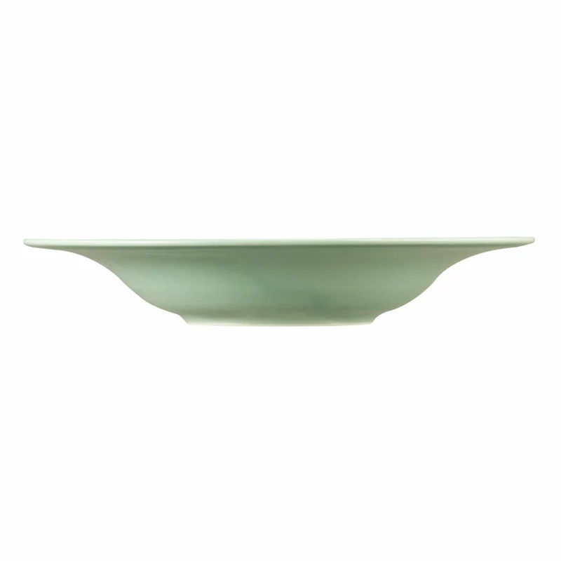 Seltmann Weiden Beat Pasta- / Salatteller, Speiseteller, Teller, Pastateller, Porzellan, Salbeigrün, Ø 27.4 cm, 001.772205
