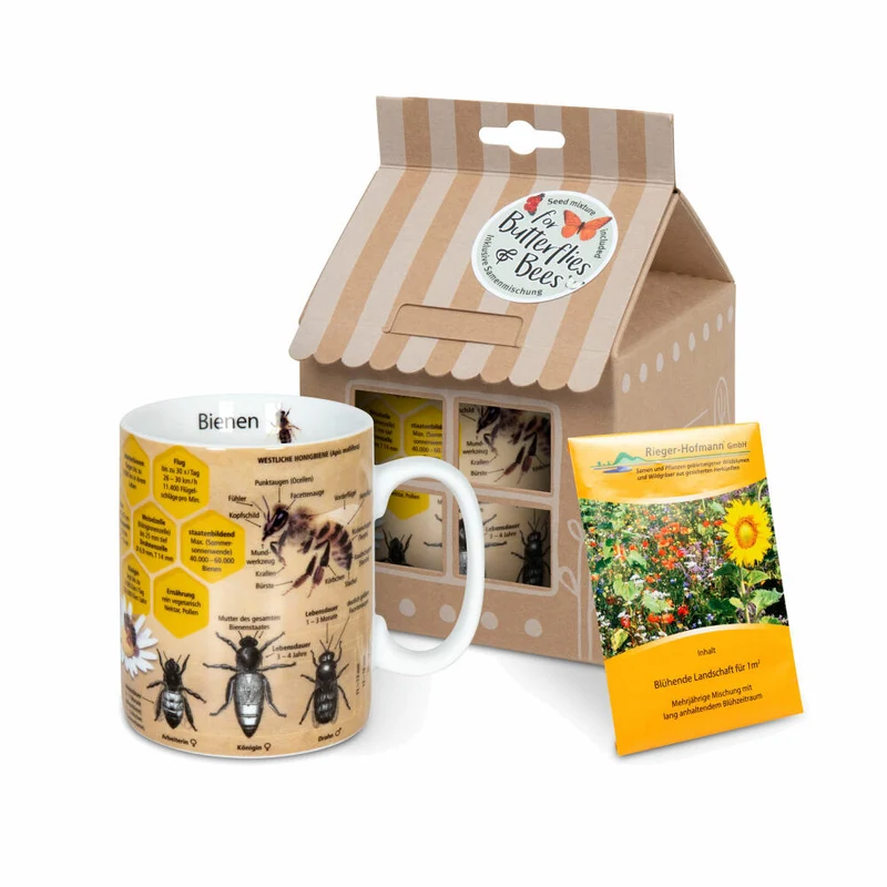Könitz Becher Wissensbecher Biene mit Samentüte in Geschenkbox, Tasse, Porzellan, Bunt, 490 ml, 11 5 000 2445