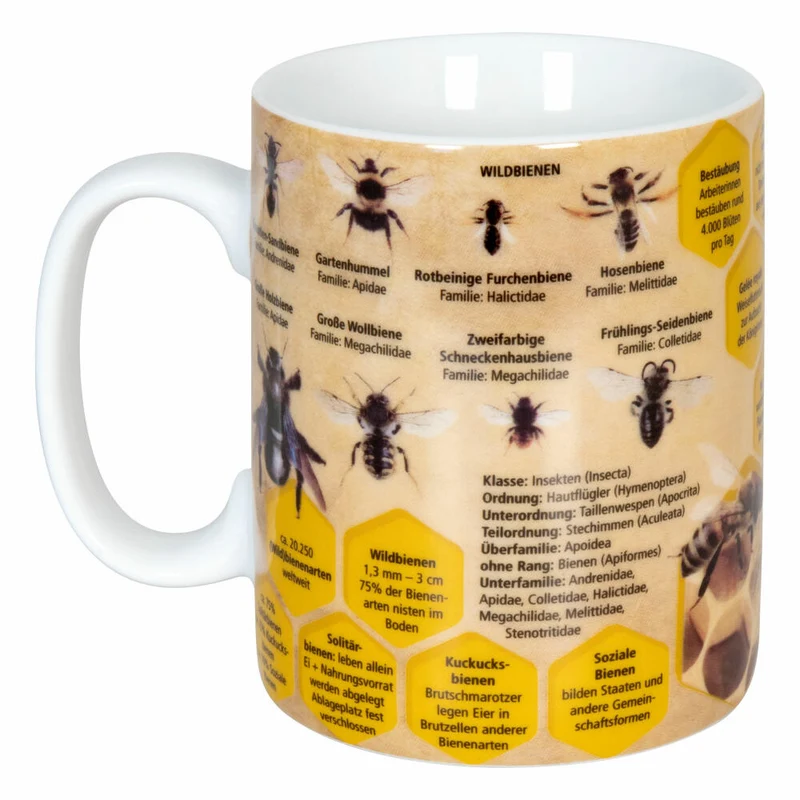 Könitz Becher Wissensbecher Biene mit Samentüte in Geschenkbox, Tasse, Porzellan, Bunt, 490 ml, 11 5 000 2445