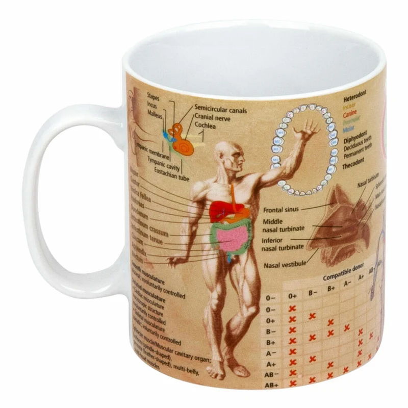 Könitz Medicine Wissensbecher Englisch, Becher, Tasse, Kaffeetasse, Porzellan, 460 ml, 11 1 330 1909