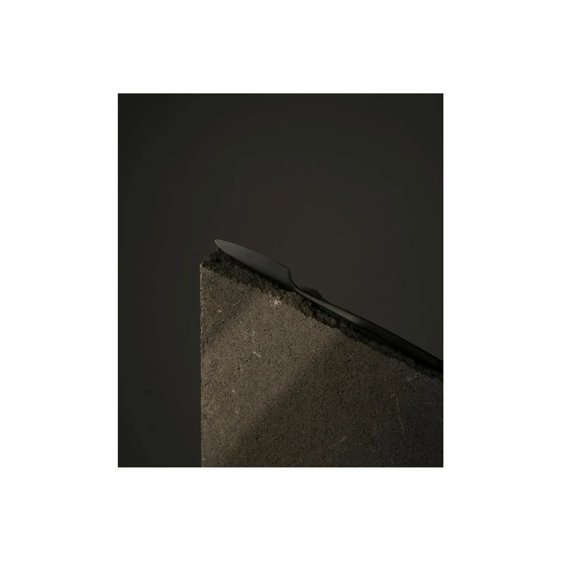 Comas Besteck-Set Atlantida Ice Black 24-tlg., Tafelbesteck, Edelstahl 18/10, Schwarz, 9772