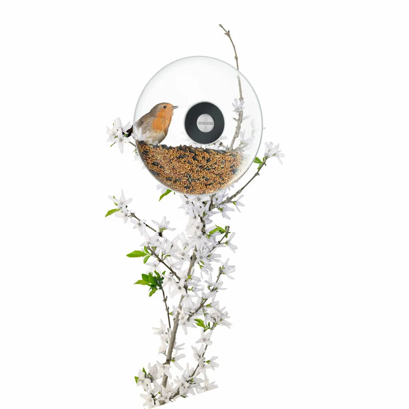 Eva Solo Fenster-Futterkugel, Futterhaus, Futterstation, Vogelfutter, Glas/Gummi/Edelstahl, Transparent, Ø 19.5 cm, 571024