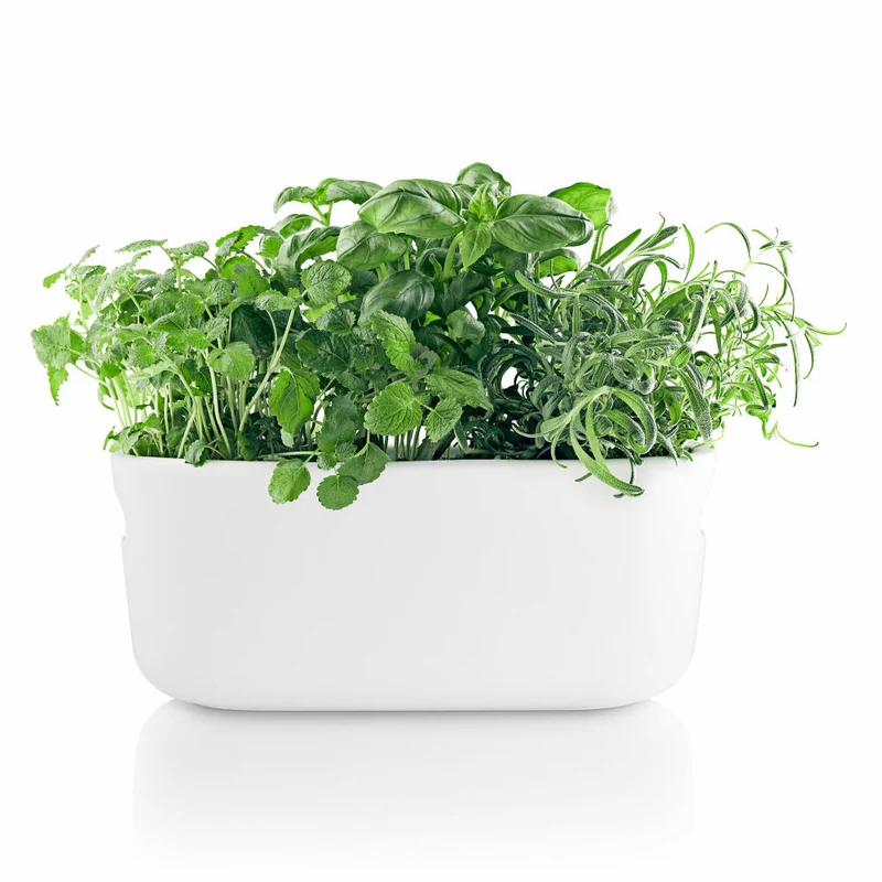 Eva Solo Selbstbewässernder Herb-Organiser, Kräutertopf mit Bewässerungssystem, Kräutertopf, Kräuter, Keramik/Kunstoff, Weiß, 568168