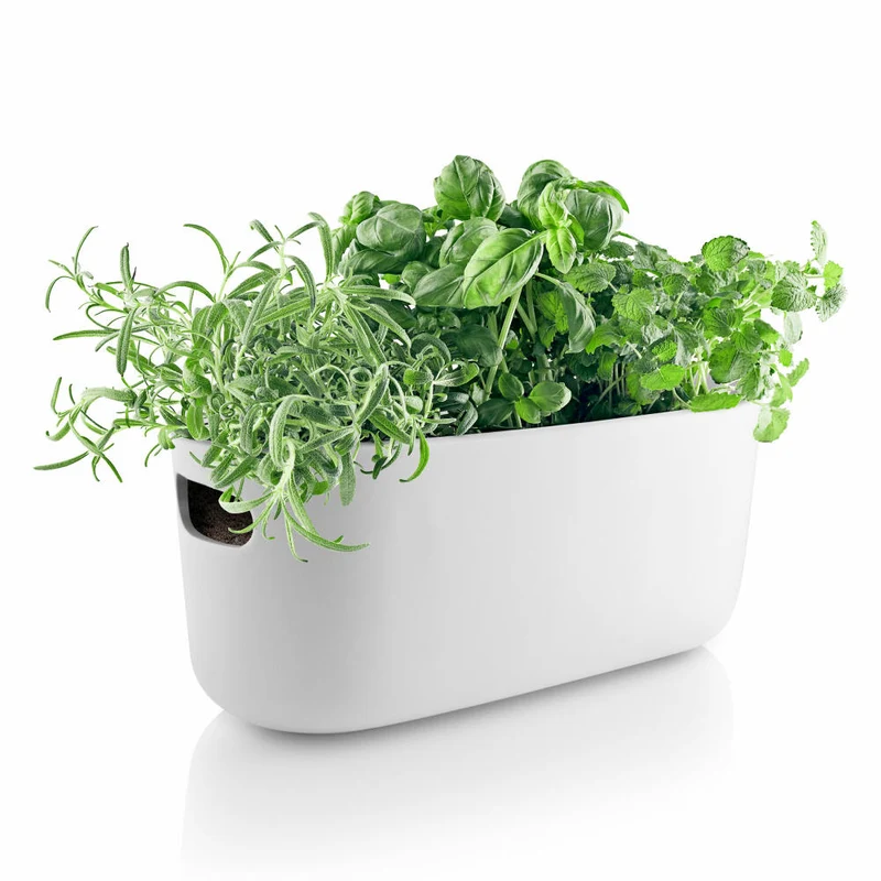 Eva Solo Selbstbewässernder Herb-Organiser, Kräutertopf mit Bewässerungssystem, Kräutertopf, Kräuter, Keramik/Kunstoff, Weiß, 568168