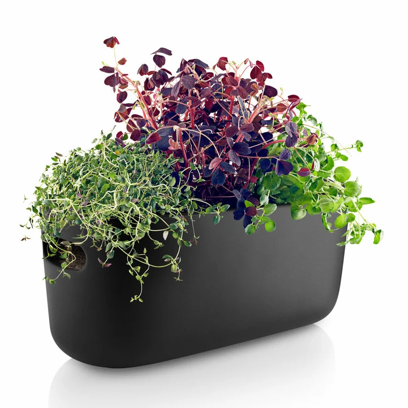 Eva Solo Selbstbewässernder Herb-Organiser, Kräutertopf mit Bewässerungssystem, Kräutertopf, Kräuter, Keramik/Kunstoff, Schwarz, 568169