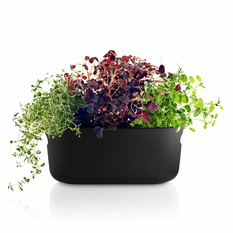 Eva Solo Selbstbewässernder Herb-Organiser, Kräutertopf mit Bewässerungssystem, Kräutertopf, Kräuter, Keramik/Kunstoff, Schwarz, 568169